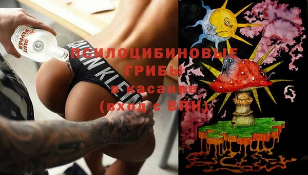 стаф Краснотурьинск
